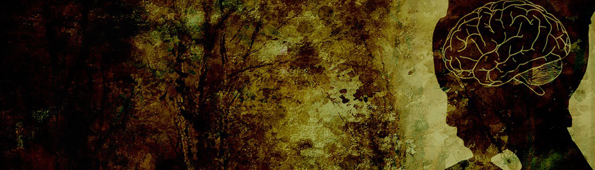 Mindspace Management Banner